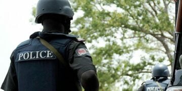 Slain Vigilantes: Delta LGA Boss Seeks Role In Community Policing