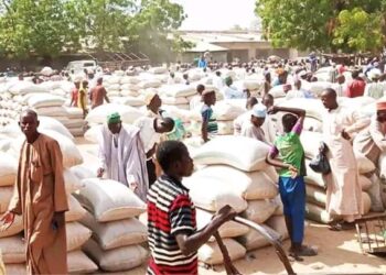 Yobe Gov’t Shuts 3 Weekly Markets Over Fear Of Boko Haram Attack