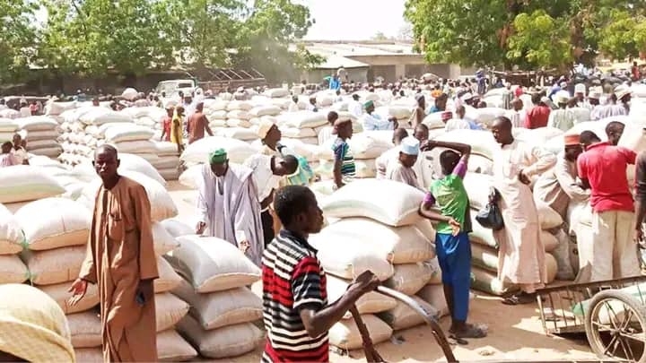 Yobe Gov't Shuts 3 Weekly Markets Over Fear Of Boko Haram Attack 1 yobe maize market
