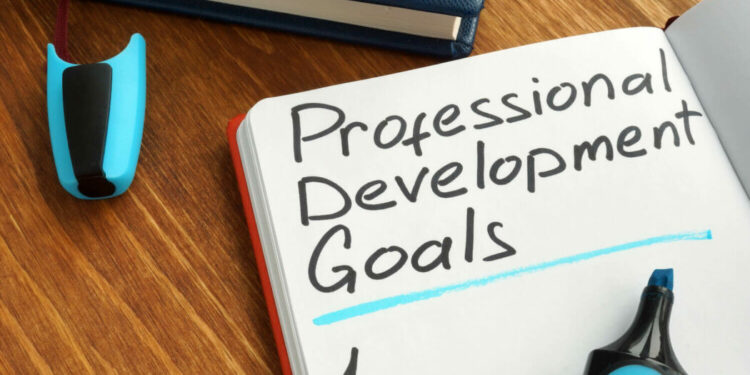 Professional Goals