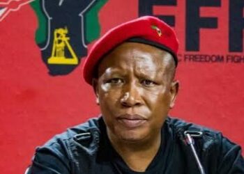 At NBA Confab, Malema Recalls Nigeria’s Support For South Africa During Darkest Hours
