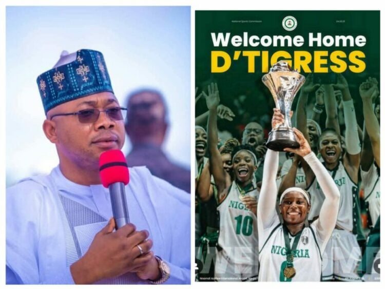 D’Tigress