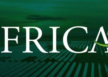 Africa50 Secures $118m To Boost Green Projects Across Africa