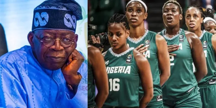D'Tigress