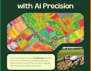 CropSense Unveils AI-Powered Platform To Boost Yields And Cut Farm Losses in Nigeria