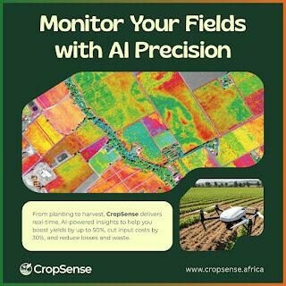 CropSense Unveils AI-Powered Platform To Boost Yields And Cut Farm Losses in Nigeria 1 CropSense Unveils AI Powered Platform To Boost Yields And Cut Farm Losses in Nigeria