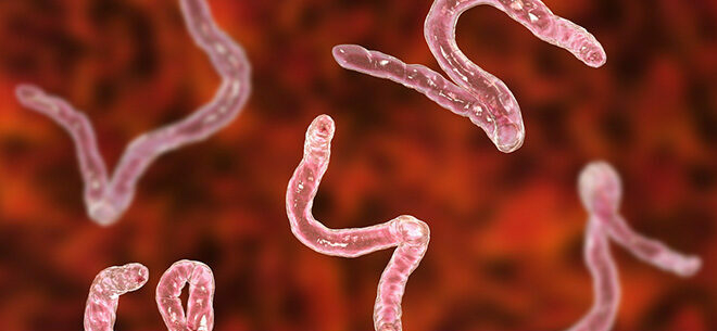 Why Regular Deworming Is Essential For Your Health 1 deworm