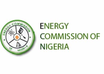 ECN, UNIDO Launch Initiative To Strengthen Energy Mgt Frameworks