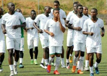 World Cup: Foreign Pros Arrive In Flying Eagles Camp