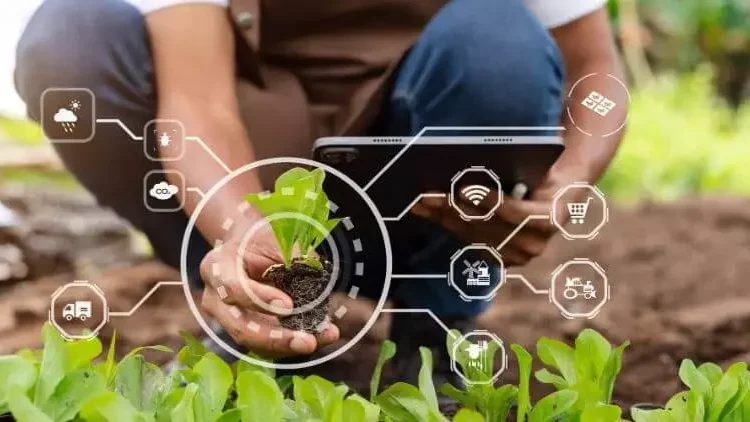 Propcom+ Trains Journalists On Climate-Smart Agriculture 1 Farmers advocate for climate smart agriculture for better yields 750x422 1