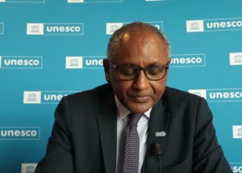 Congo Seeks Nigeria’s Backing For Diplomat To Lead UNESCO