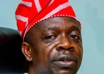 2027: Shield Tinubu From North Splinter Group’s Harassment, Chieftain Urges Southern Elders