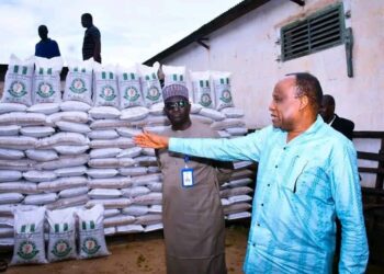NEDC Gives Relief Items To Maiduguri Flood Victims
