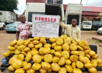 Notorious Drug Kingpin Arrested In Delta As NDLEA Intercepts N7.8bn Opioids In Rivers