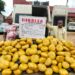 Notorious Drug Kingpin Arrested In Delta As NDLEA Intercepts N7.8bn Opioids In Rivers 5 Notorious Drug Kingpin Arrested In Delta As NDLEA Intercepts N7.8bn Opioids In Rivers