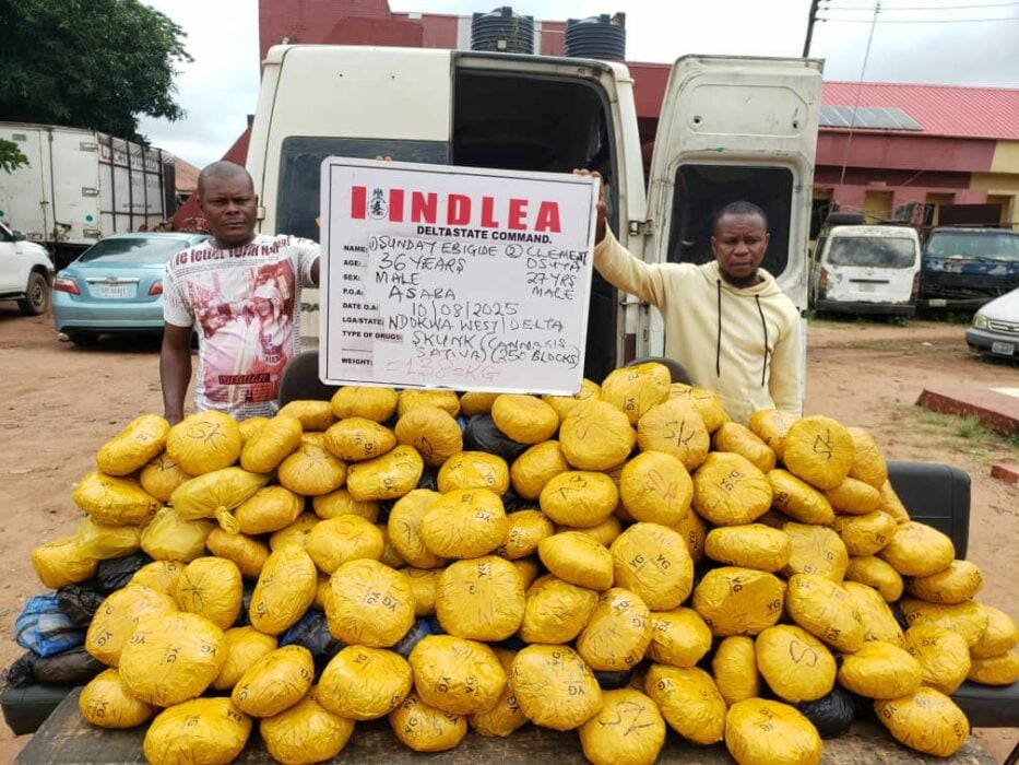 Notorious Drug Kingpin Arrested In Delta As NDLEA Intercepts N7.8bn Opioids In Rivers