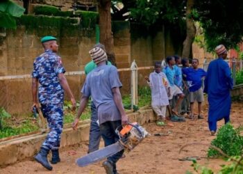 Kano Gov’t Arrests Suspects For Illegal Tree Felling