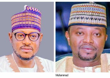 Residents Fighting Bandits With Stones Made Me Buy Arms – Katsina Lawmaker