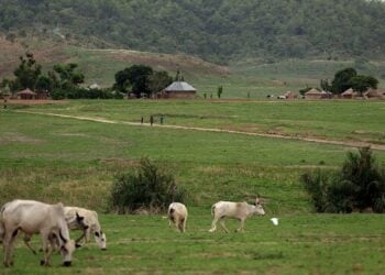 FG Plants Seeds Of Peace, Prosperity At Kawu Grazing Reserve