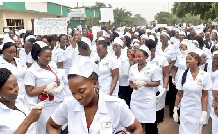 Nurses Suspend Strike After Federal Govt's Commitment To Demands