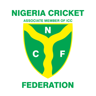 Committee Clears Akpata,15 Others For NCF Board Elections, Disqualifies Onyeama, Others 1 Nigeria Cricket Federation NCF