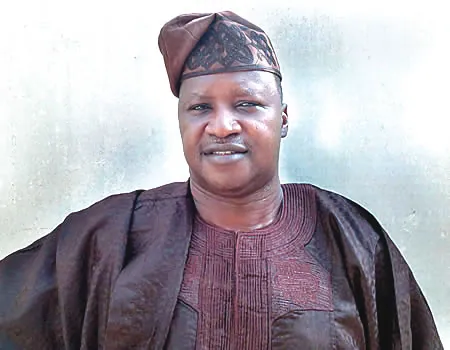 Nigerian Ambassador to Canada Ambassador Dare Bejide