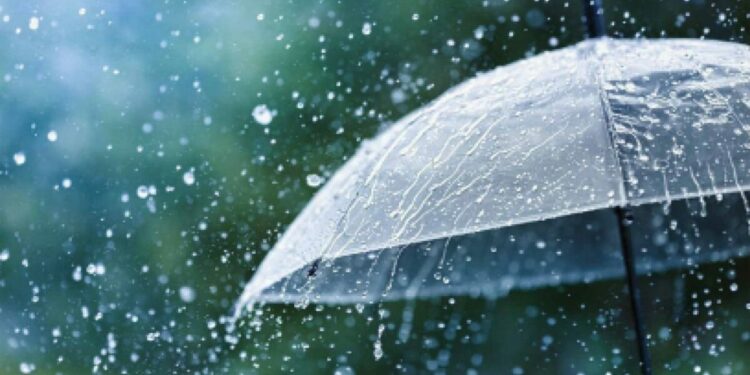 Rainy Season Health Triggers