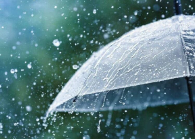Rainy Season Health Triggers