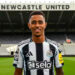 Ramsey Joins Newcastle In Search Of Starting Spot