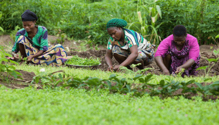 NGO Empowers Kano Women On Climate-Smart Agriculture 1 Untitled design 2021 08 23T110331.935