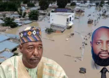 Flooding: Borno Needs Modern Drainages, Not Overhead Bridges, Chinedumuije Tells Zulum