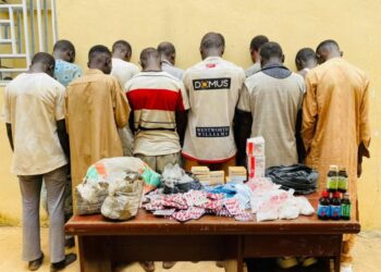 NDLEA Arrests 49 Drug Suspects In Kano