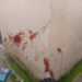 1 Killed As Robbers Attack Poly Students In Bauchi 5 1 Killed As Robbers Attack Poly Students In Bauchi