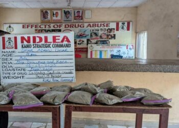 NDLEA Arrests 27-yr-old With Cannabis Worth ₦10m In Kano