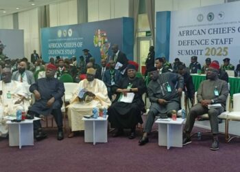 1,000 Insurgents’ Groups Operating In Africa — Prof. Gambari