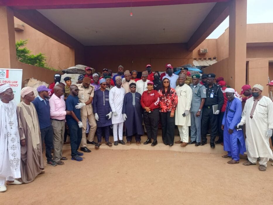 NDLEA Seizes Cannabis Worth Billions Of Naira In Kwara