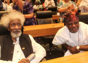Ajiboye Elevates Soyinka’s Legacy At Brazil-Nigeria Heritage Forum