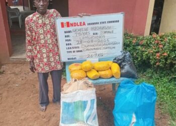 75-yr-old Grandpa Arrested As NDLEA Destroys 178,000kg Skunk In Taraba Forest