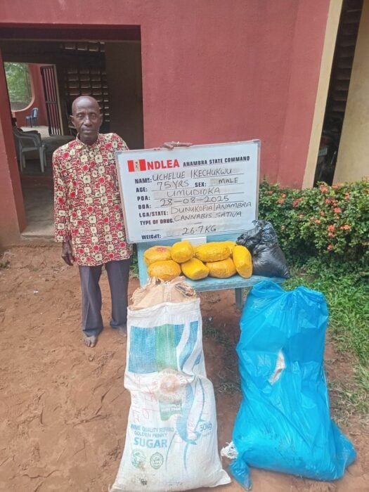75-yr-old Grandpa Arrested As NDLEA Destroys 178,000kg Skunk In Taraba Forest
