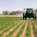 FG Unveils AgroTrade System To Unlock Market Access For Farmers