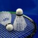 Lagos To Host 2025 Int'l Badminton Classic As 30 Countries Set To Compete 5 Lagos To Host 2025 Int’l Badminton Classic As 30 Countries Set To Compete