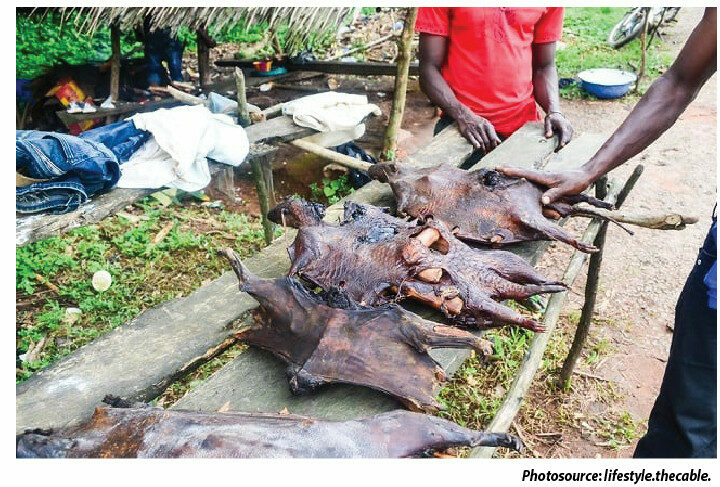 Bush Meat: Cultural Delicacy Or Public Health Risk? 1 bush meat