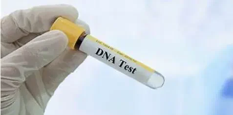 1 In 4 Nigerian Fathers Not Biologically Related To Children — Report 1 dna test