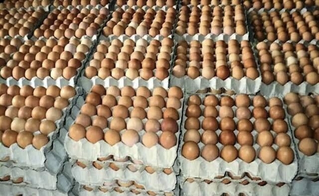 Lagos Residents Debunk Egg Price Slash 1 eggs