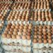 Lagos Residents Debunk Egg Price Slash 5 Lagos Residents Debunk Egg Price Slash