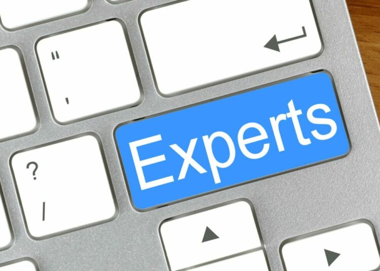 experts