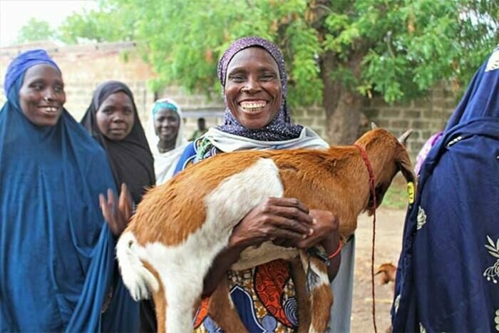 goat farmin