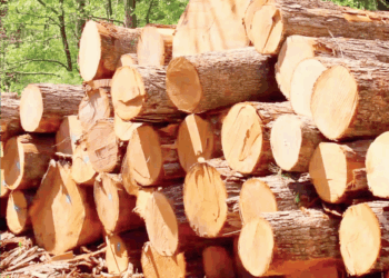 Timber Dealers Fault Exclusion From Bayelsa Forestry Bill Hearing