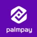 PalmPay Partners FG To Equip 1m Nigerian Youths Digitally 5 PalmPay Partners FG To Equip 1m Nigerian Youths Digitally