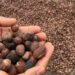 Shea Sector: Firm Seeks Clarity On Export Ban